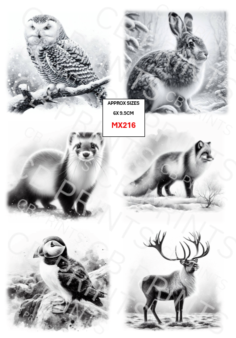 Mixed animal designs MX216