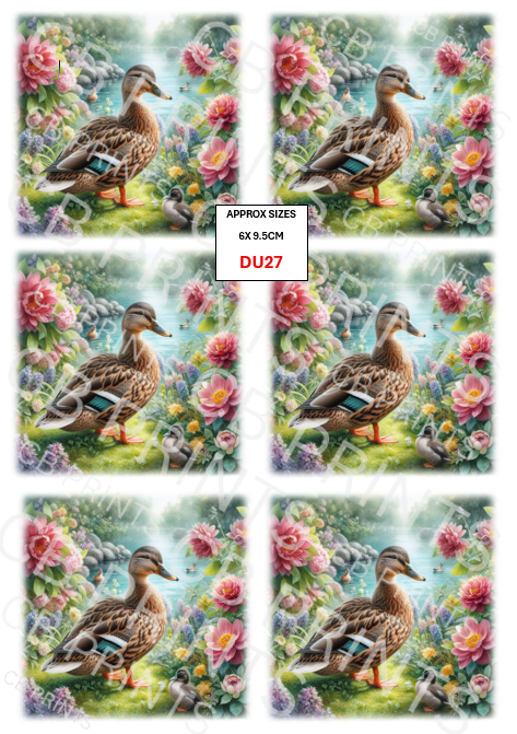 Duck Decoupage Paper DU27 – Mulberry Paper Print