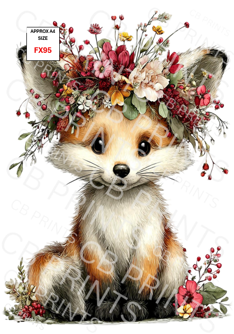 Fox design FX95