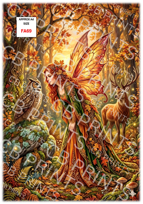 Fairy and owl design FA69