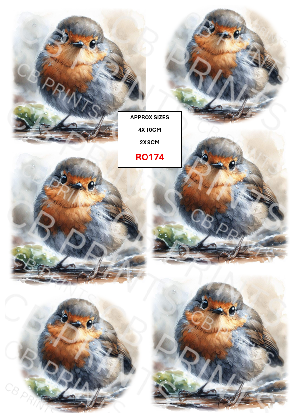 Robin design RO174