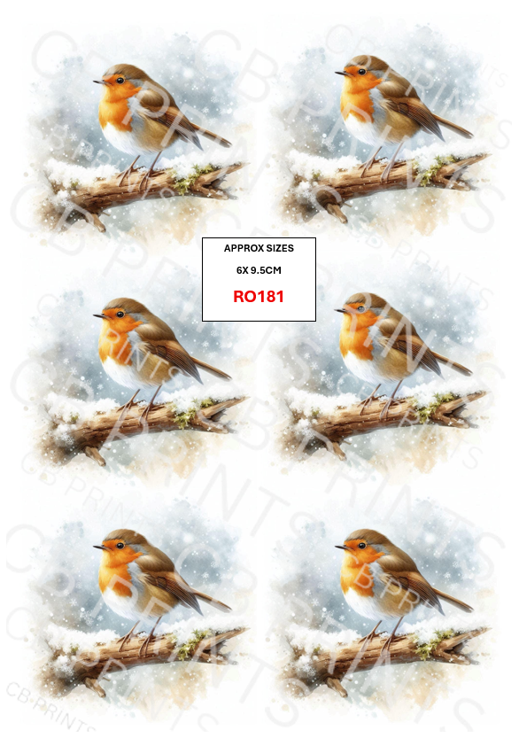 Robin design RO181