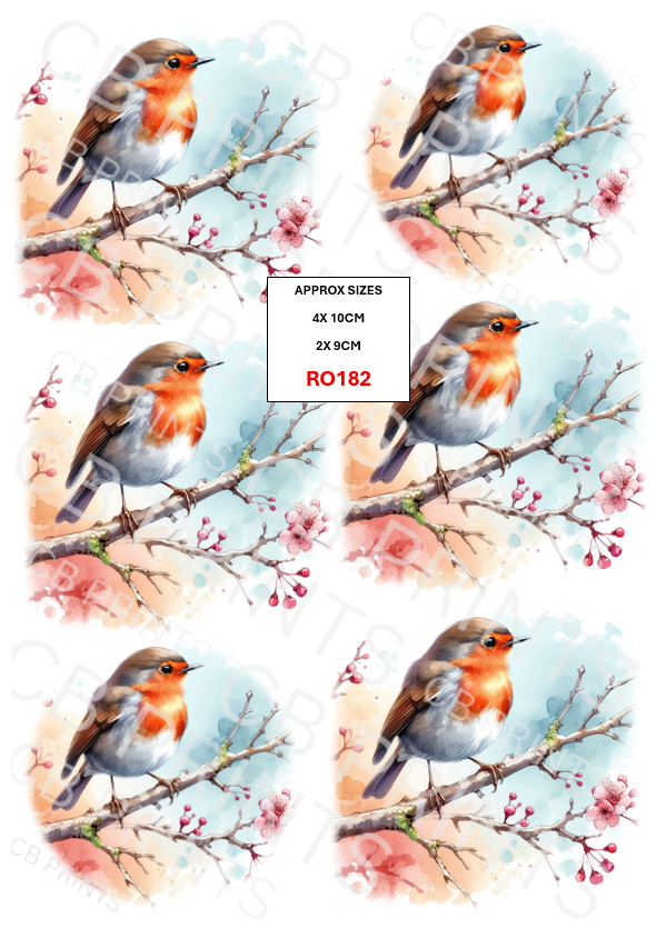 Robin design RO182