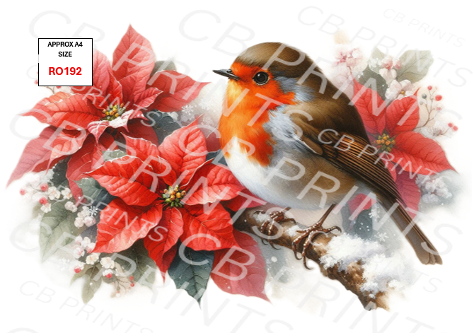 Robin design RO192