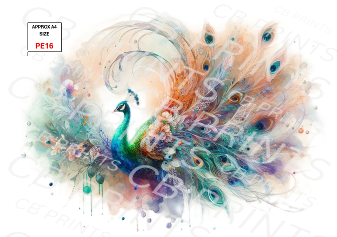 Peacock design PE16