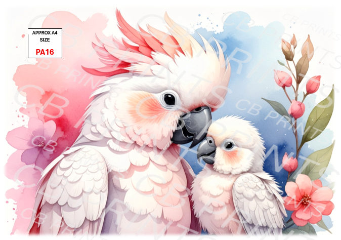 Parrot design PA16