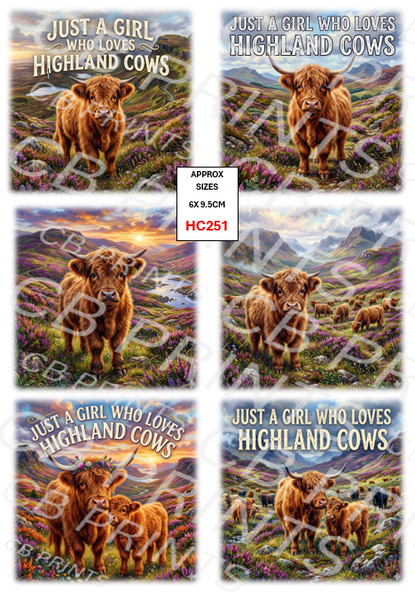Highland cow design HC251