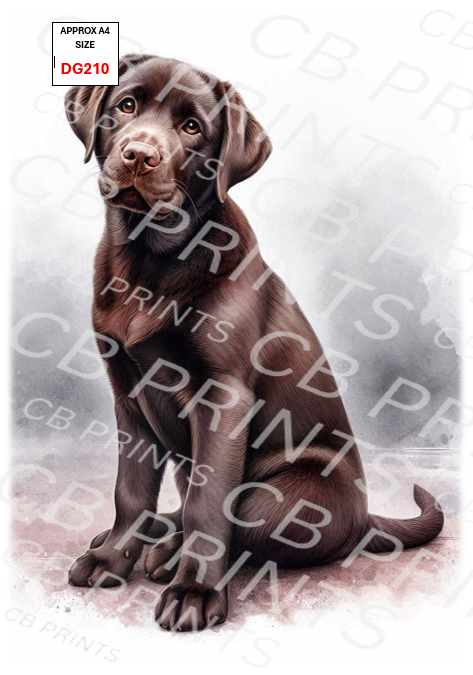 Dog design DG210