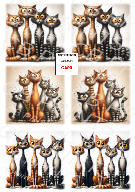 Cat design CA90