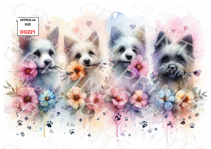 Dog design DG221