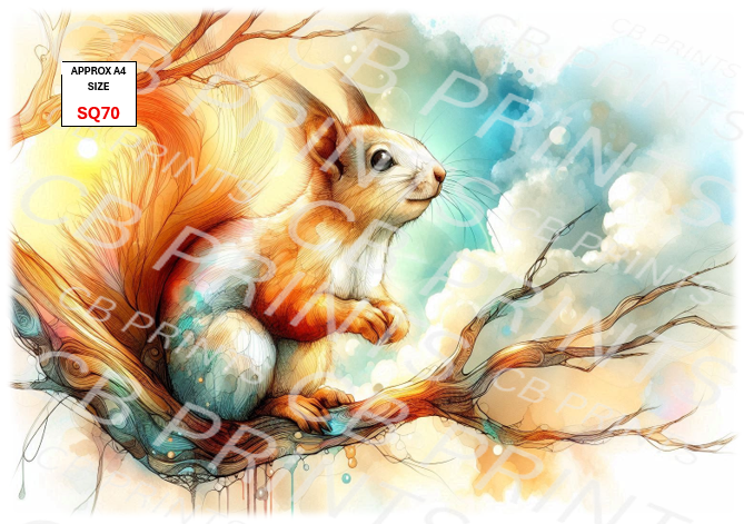 Squirrel design SQ70