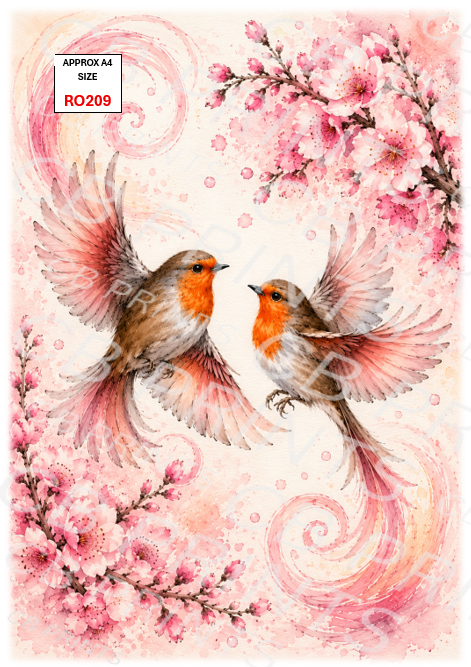 Robin design RO209