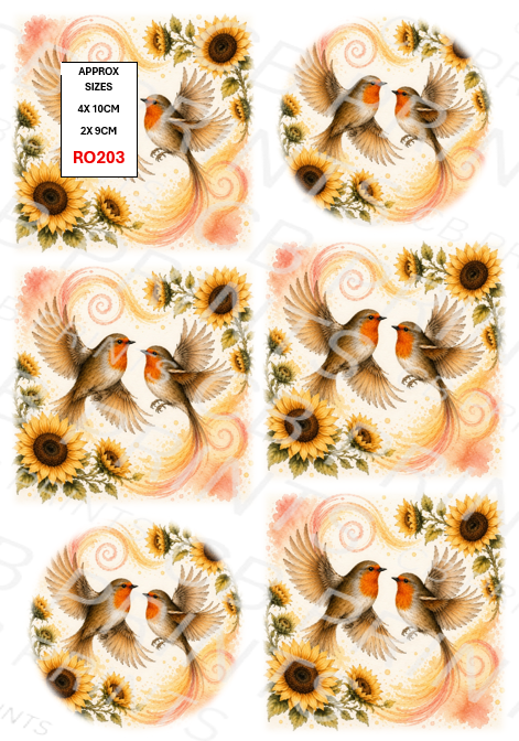 Robin design RO203