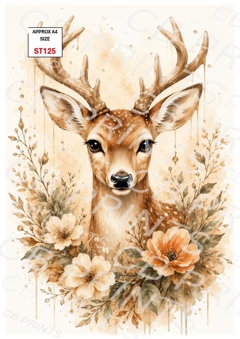 Stag design ST125