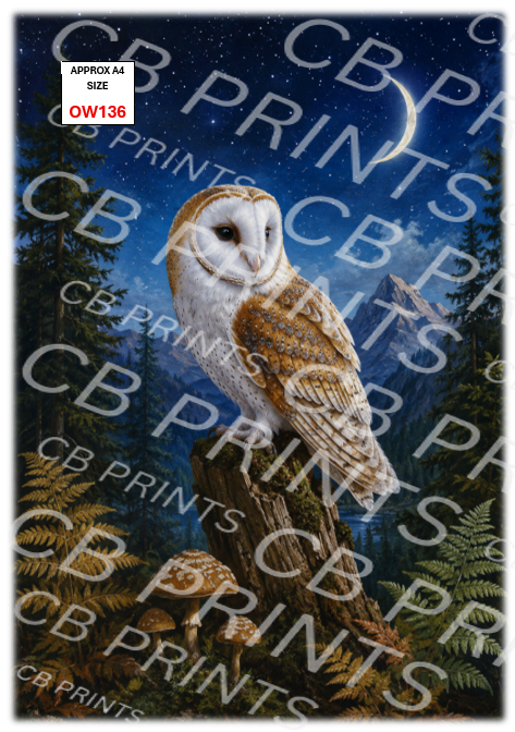 Owl design OW136