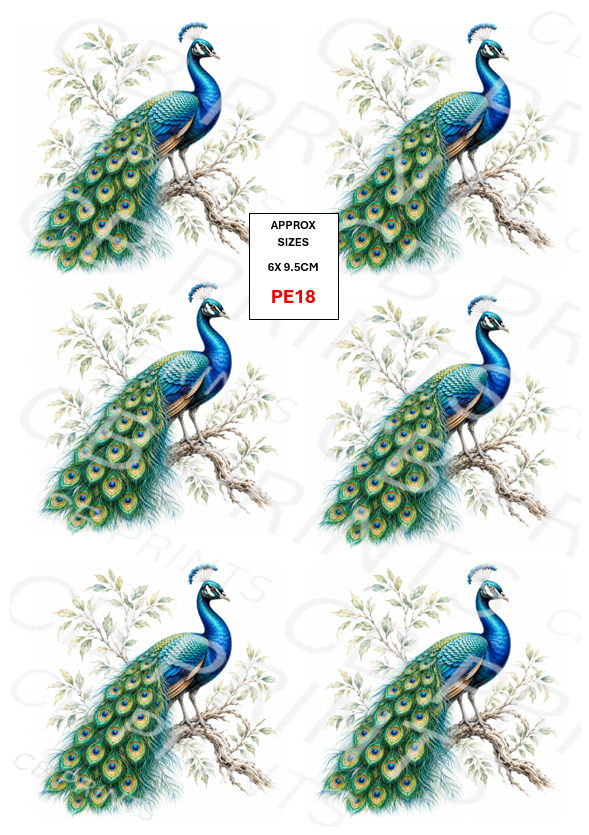 Peacock design PE18