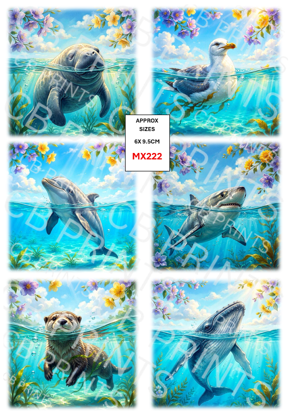 Mixed underwater designs MX222