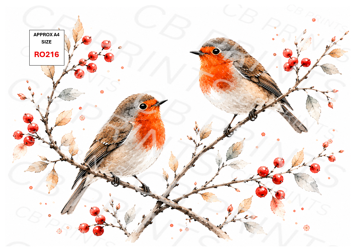 Robin design RO216