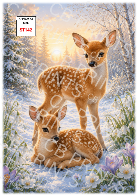 Stag design ST142
