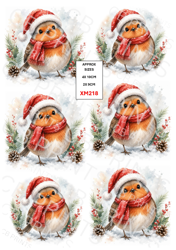 Christmas design XM218