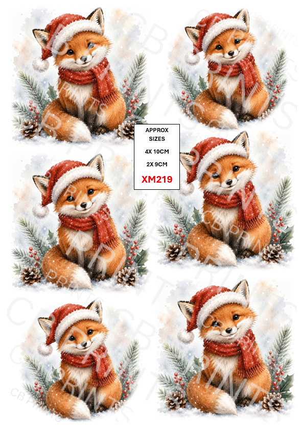 Christmas design XM219