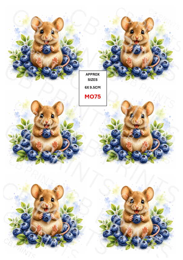 Mouse design MO75