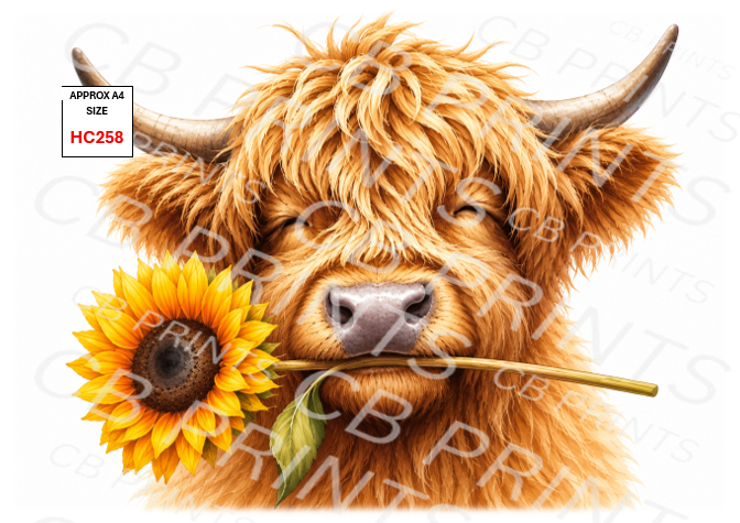 Highland Cow Decoupage Print HC258 | Mulberry Paper