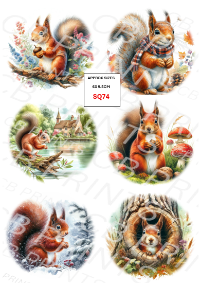 Squirrel Decoupage Print SQ74 | Mulberry Paper