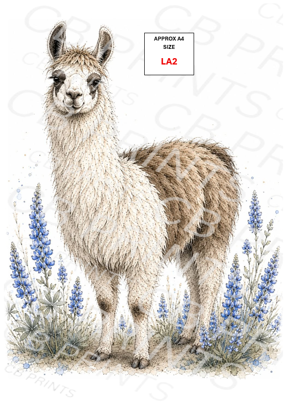 Llama Decoupage Paper LA2 – Mulberry Paper Print