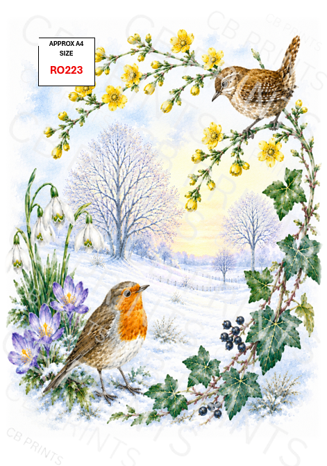 Robin Decoupage Print RO223 | Mulberry Paper