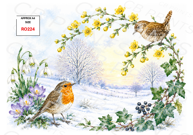 Robin Decoupage Print RO224 | Mulberry Paper