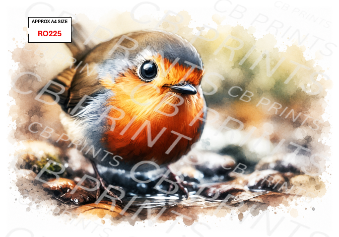 Robin Decoupage Print RO225 | Mulberry Paper