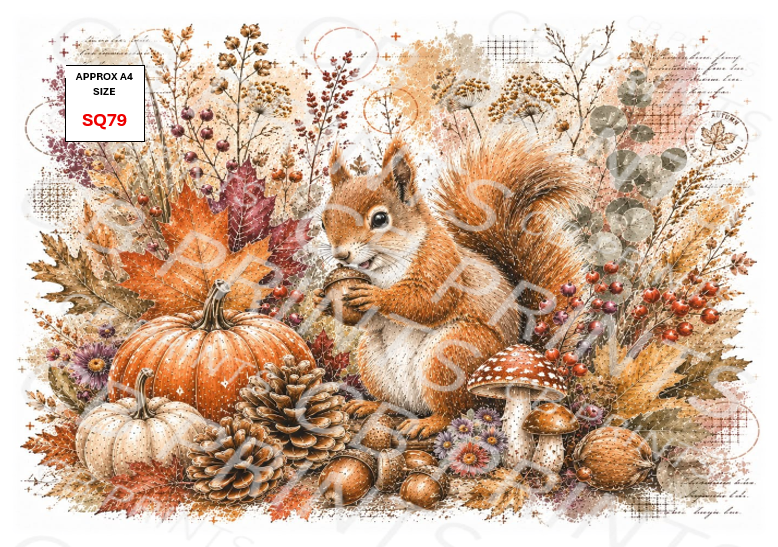 Squirrel Decoupage Print SQ79 | Mulberry Paper