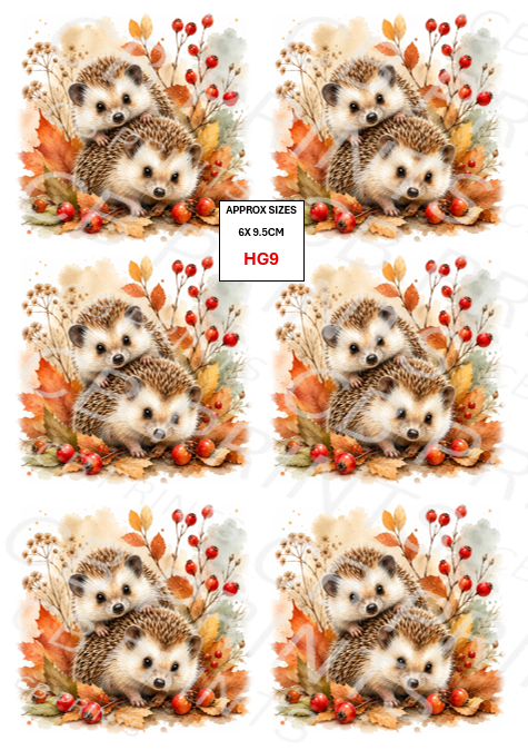 Hedgehog Decoupage Print HG9 | Mulberry Paper