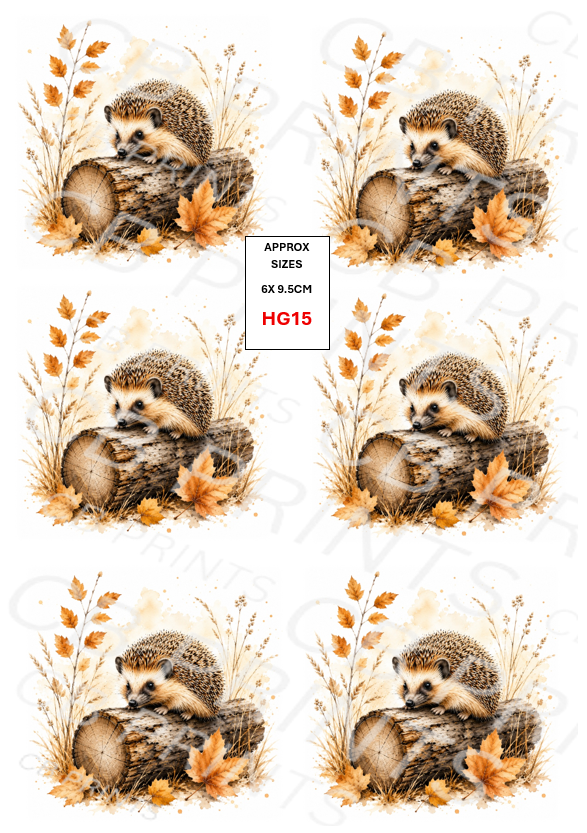 Hedgehog Decoupage Print HG15 | Mulberry Paper
