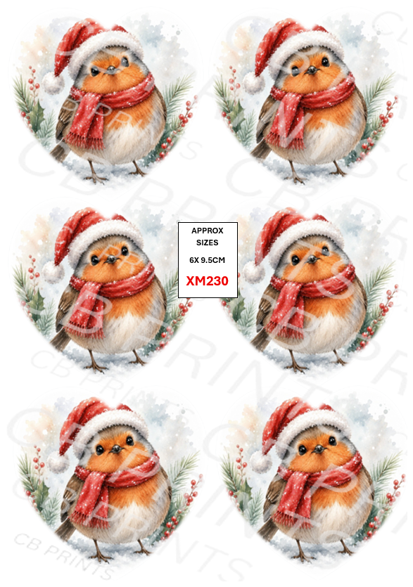 Robin Decoupage Paper Print XM230 | Mulberry Paper
