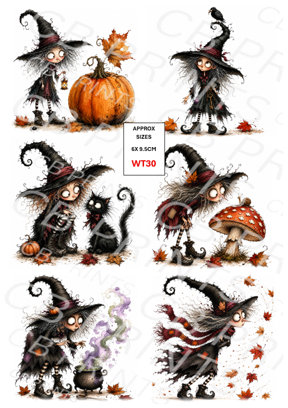 Witch Decoupage Paper Print WT30 – Mulberry Paper