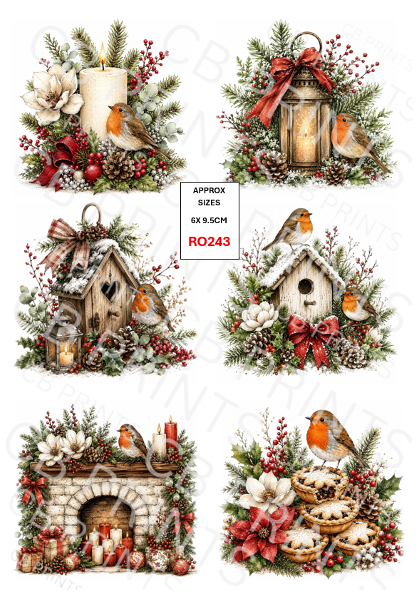 Robin Decoupage Paper Print RO243 | Mulberry Paper