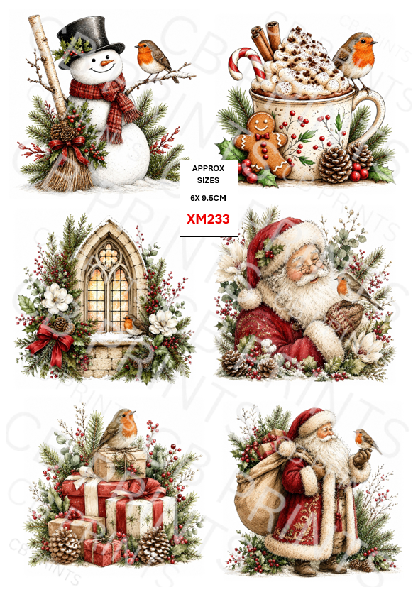 Robin Decoupage Paper Print XM233 | Mulberry Paper