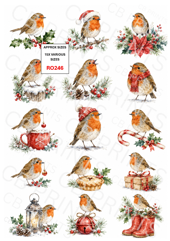Robin Decoupage Paper Print RO246 | Mulberry Paper
