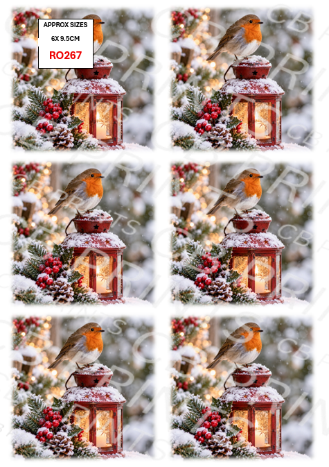 Robin Decoupage Paper Print RO267 | Mulberry Paper