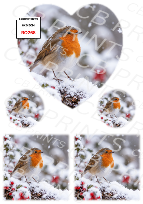 Robin Decoupage Paper Print RO268 | Mulberry Paper