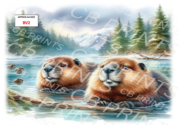 Beavers