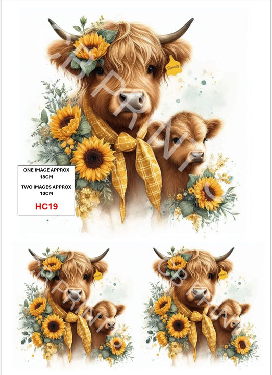 Highland Cow Decoupage Print HC19 | Mulberry Paper