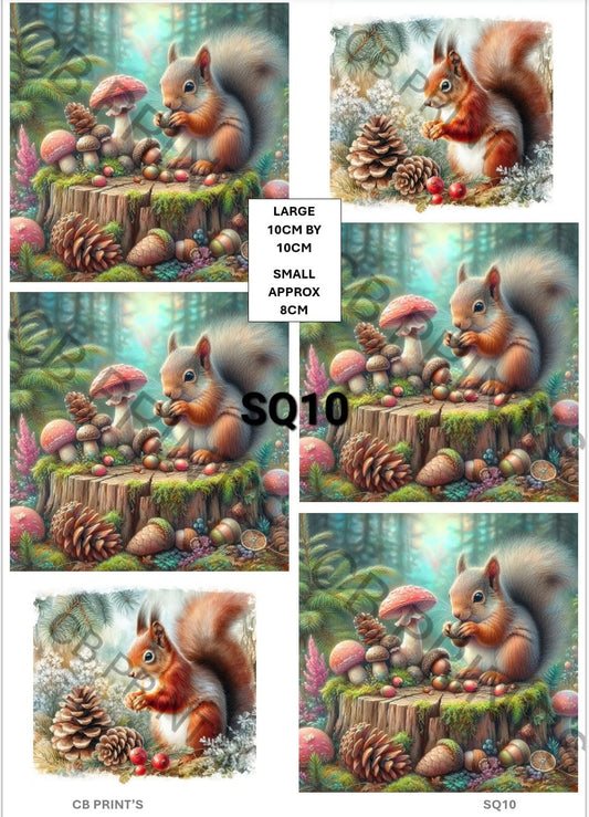 Squirrel Decoupage Print SQ10 | Mulberry Paper