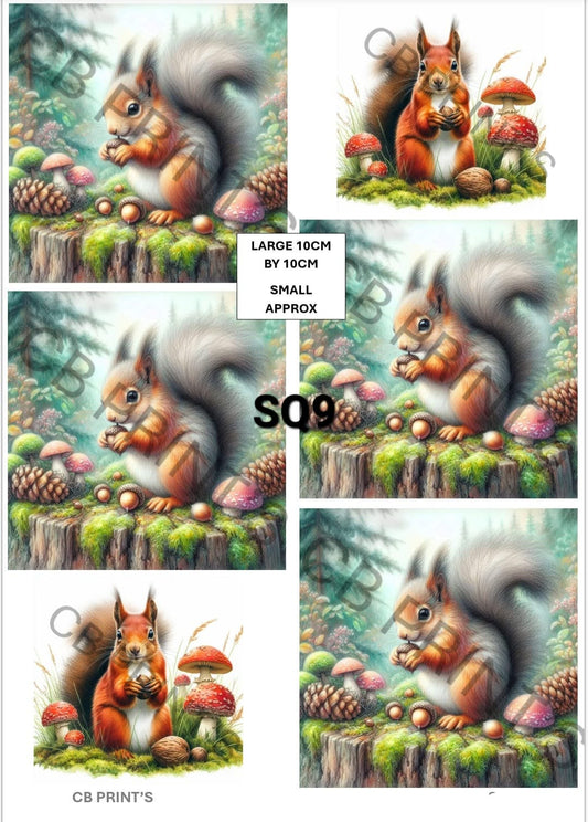 Squirrel Decoupage Print SQ9 | Mulberry Paper