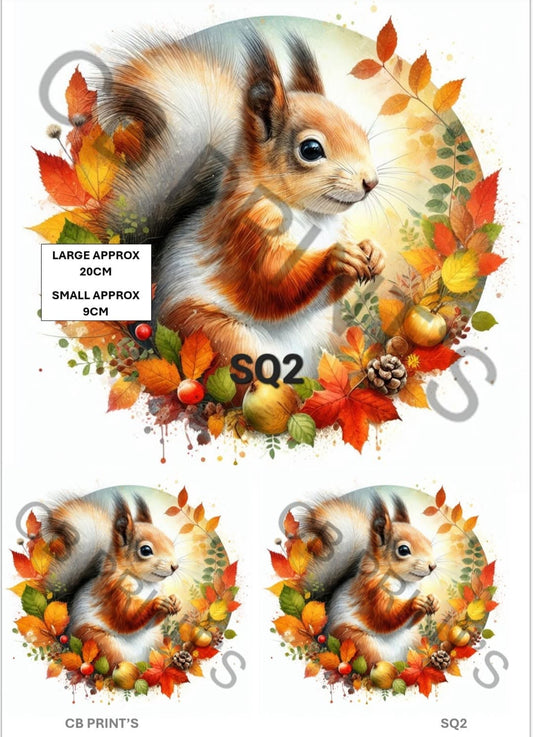 Squirrel Decoupage Print SQ2 | Mulberry Paper
