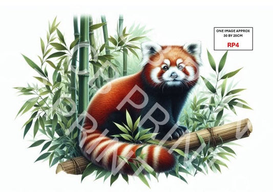 Red Panda Decoupage Paper Print RP4 | Mulberry Paper | CB Paper Prints