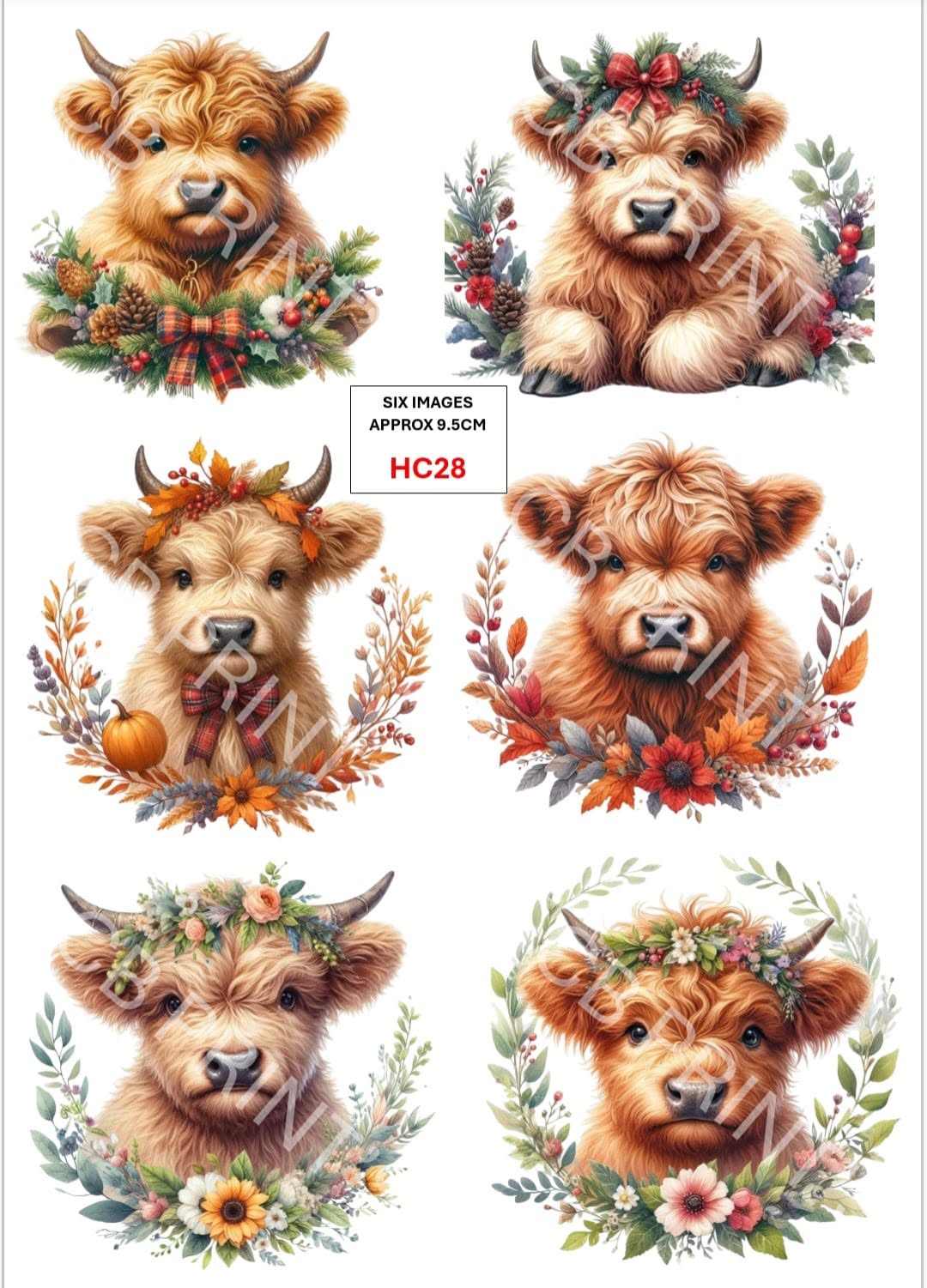 Highland Cow Decoupage Print HC28 | Mulberry Paper