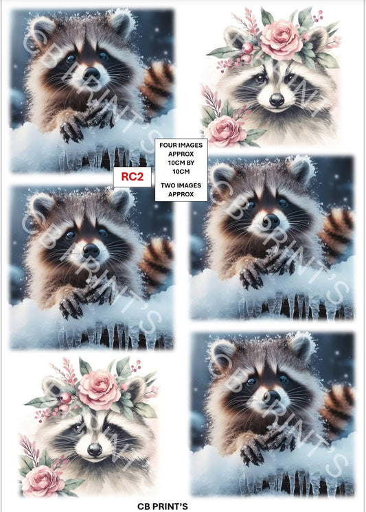 Raccoon Decoupage Paper Print RC2 – Mulberry Paper